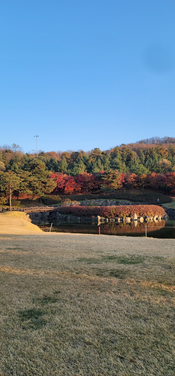 [�Ƹ���] �̿��ı�