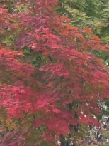 �����е�� ��ſ�ð��̾��׿�...