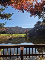 ���ܵ�� �������� �ܵ� ���� �ʷϻ� 
��