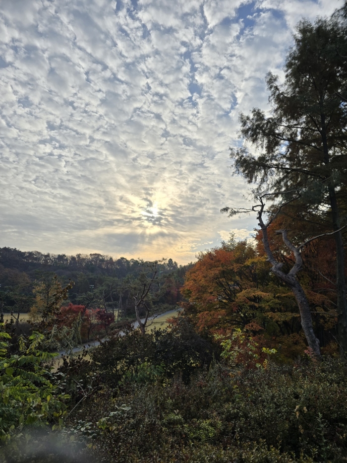 [�ž�(P9)] �̿��ı�