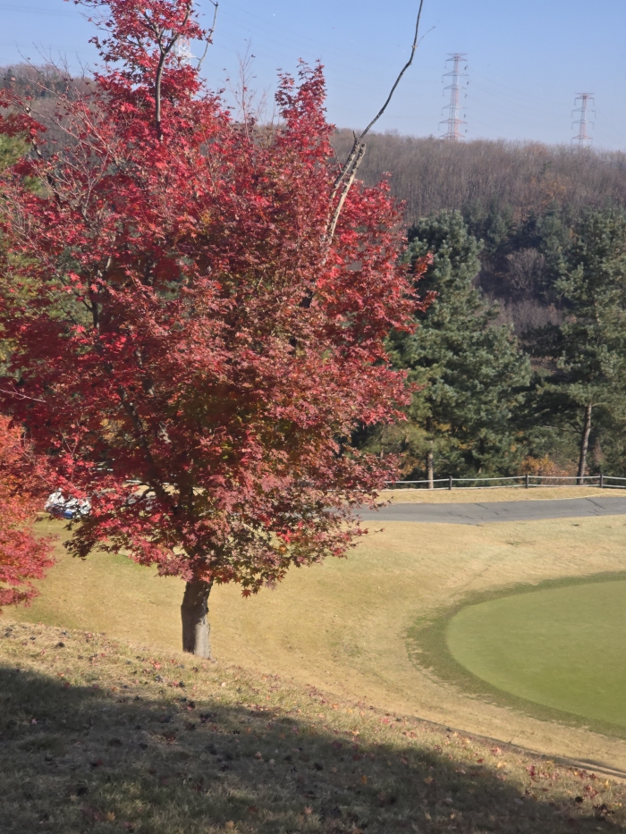 [�ؼָ���] �̿��ı�