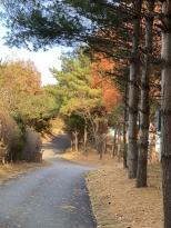 ĳ��� ģ���ϰ� �׸����� ���ҽ��ϴ�. 
