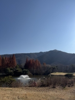 ĳ����� �ʹ� �����̴� (���ں�)
�ڽ�����