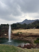 ������ ���� ������ �±�...