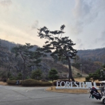 ������ �� �׸����� �����׿�...