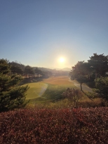 �ڽ��� �������� �ʾ� ����� ��ſ� ���� 