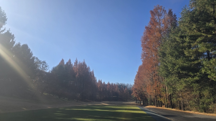 [�����췱] �̿��ı�