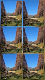 12�� �������� ������ �ѳ��� �ܿ������
