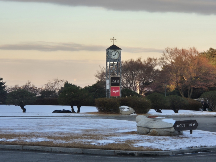 [����] �̿��ı�