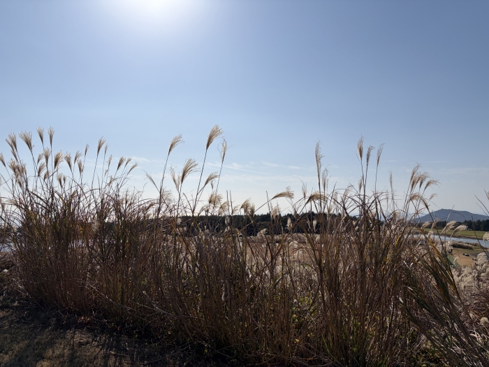 [�Ե���ī��������] �̿��ı�