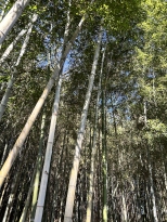 ���������� �������� �����̰� ���ƿ䡦 �ܿ�