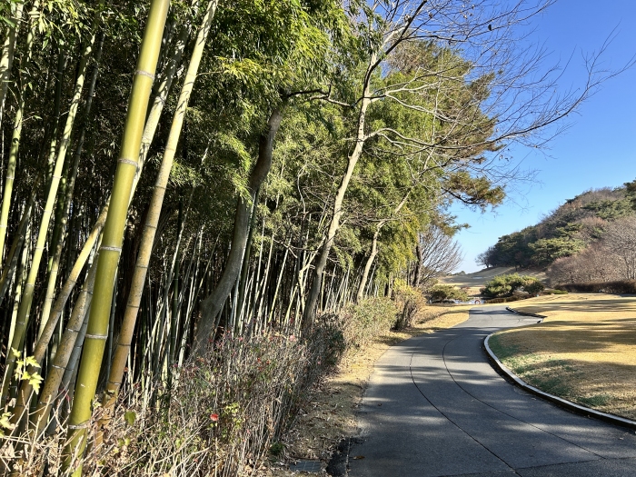 [��緹�̳�] �̿��ı�