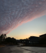 �ڽ� ���̾ƿ��� ���� ������ ���� �ܿ���� 