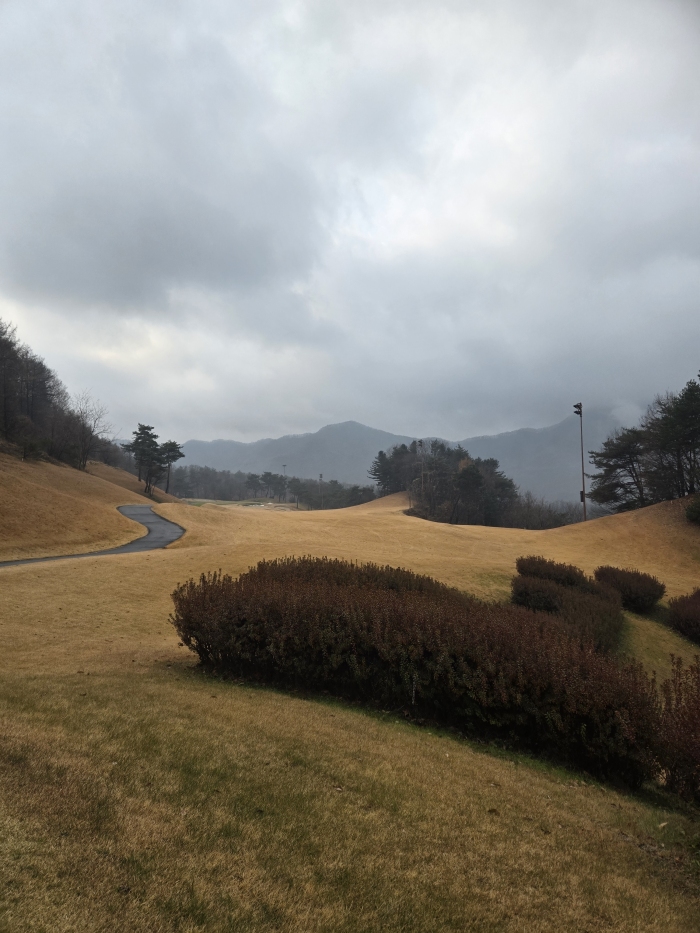 [�ξ�����] �̿��ı�