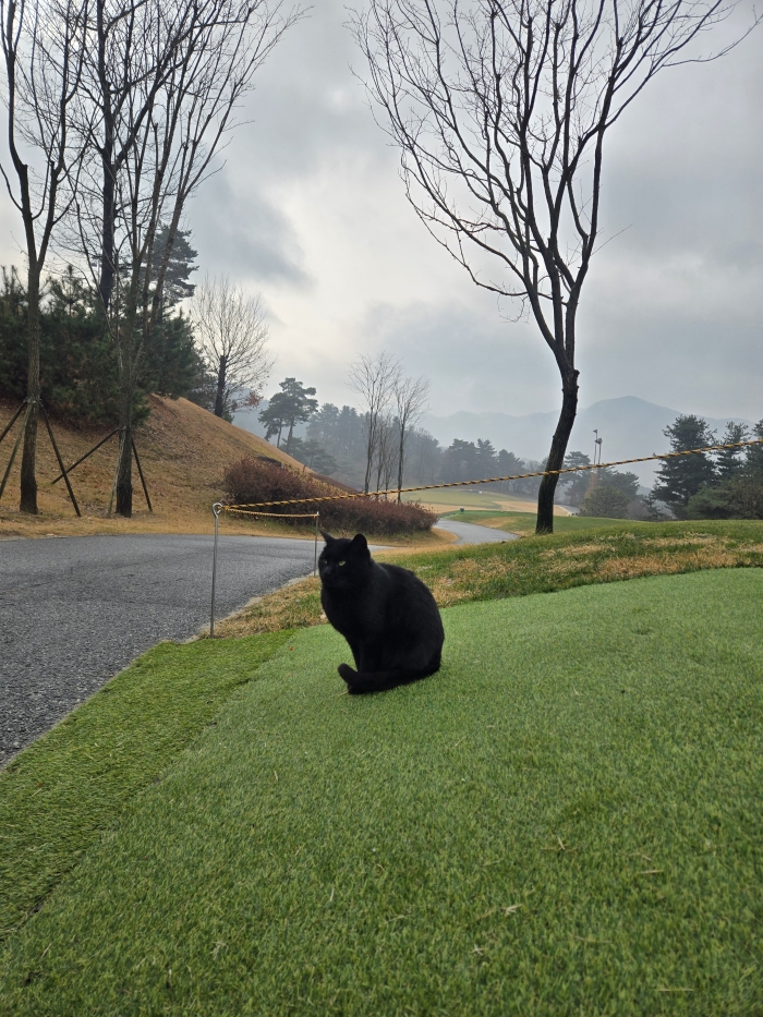 [�ξ�����] �̿��ı�