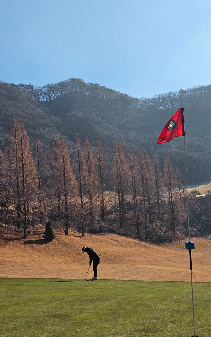 [�ȼ����׽�Ʈ] �̿��ı�