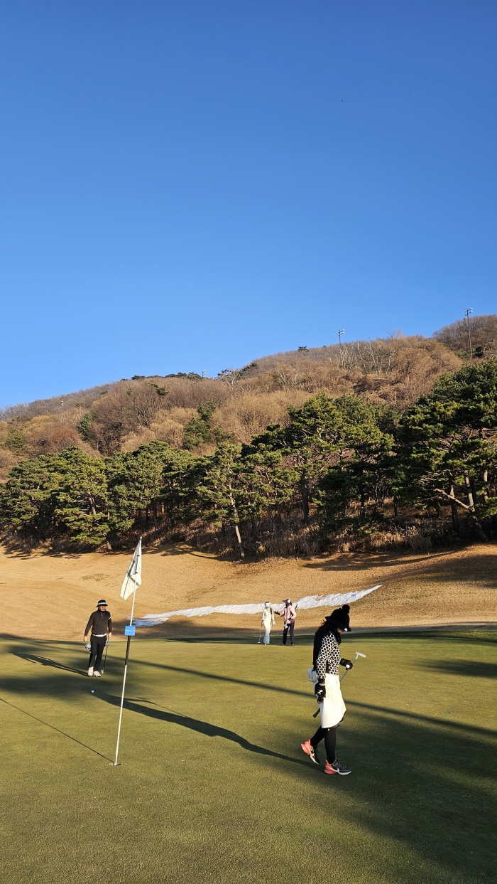 [�ȼ����׽�Ʈ] �̿��ı�