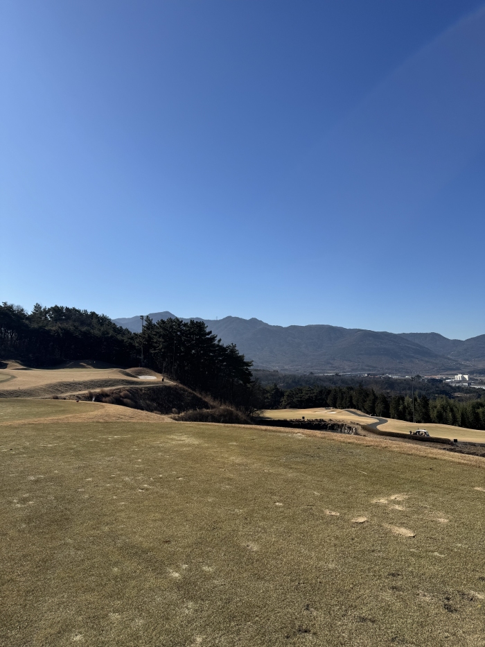 [����(�� �Ե���ī��������)] �̿��ı�