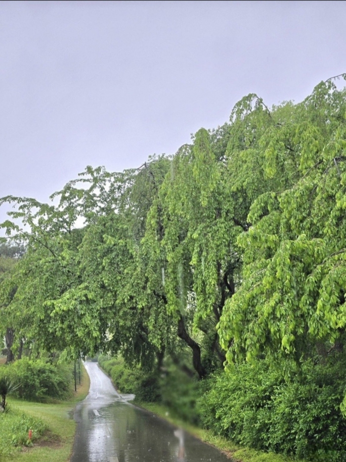 [�뱸] �̿��ı�