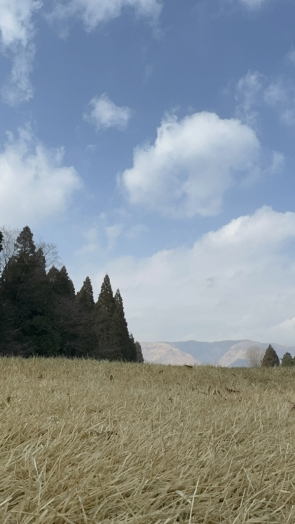 아카미즈 이용후기