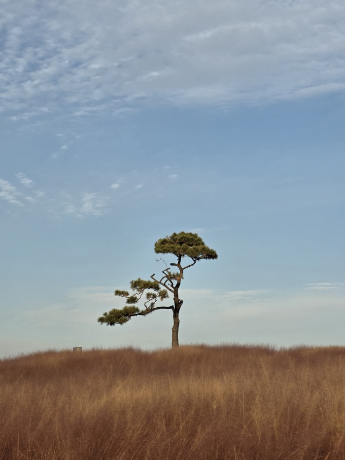 [�ö�ְ�] �̿��ı�