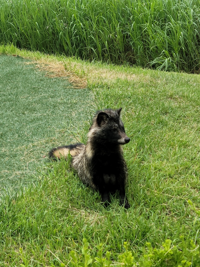 [������] �̿��ı�