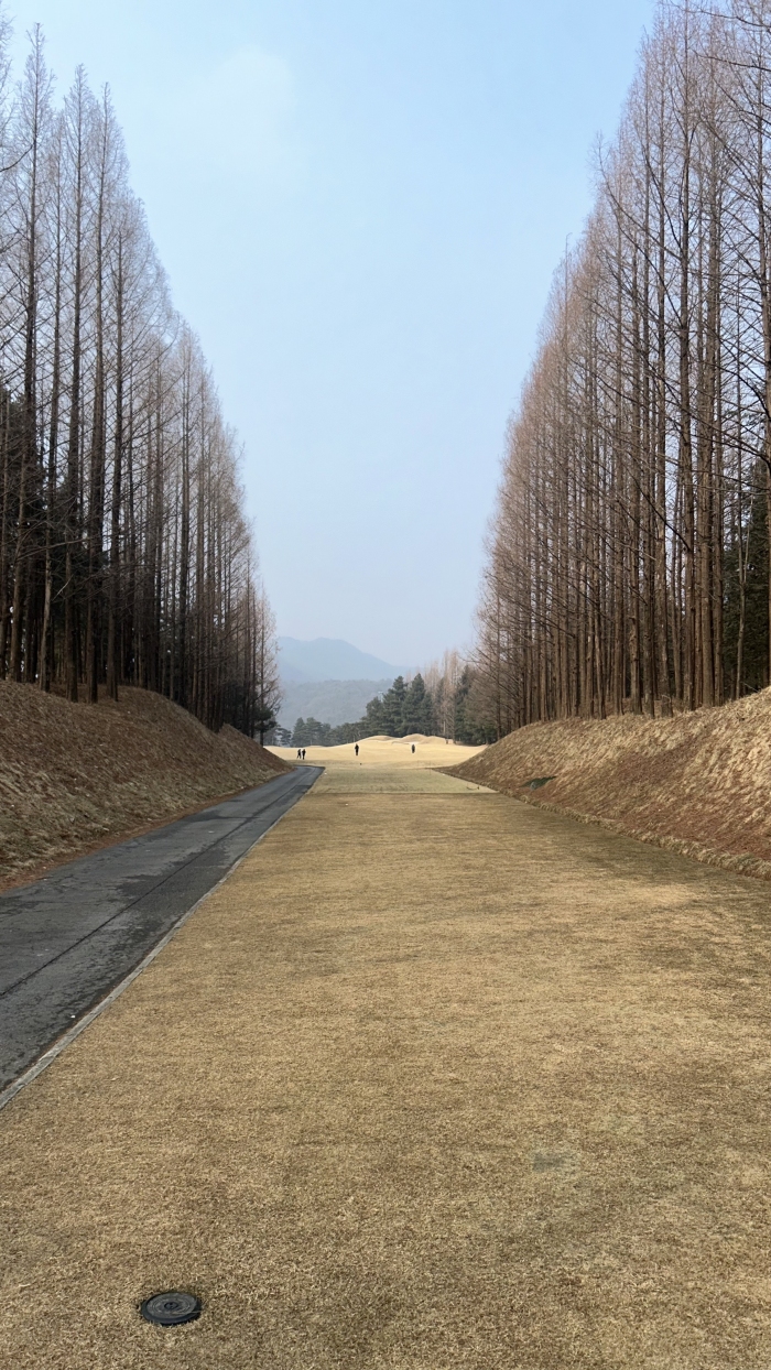 [�����췱] �̿��ı�