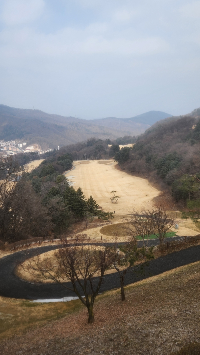 [������] �̿��ı�