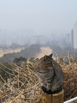 �̵��Ÿ��� ����� �ʹ� ���Ҿ��.
�׸� ��