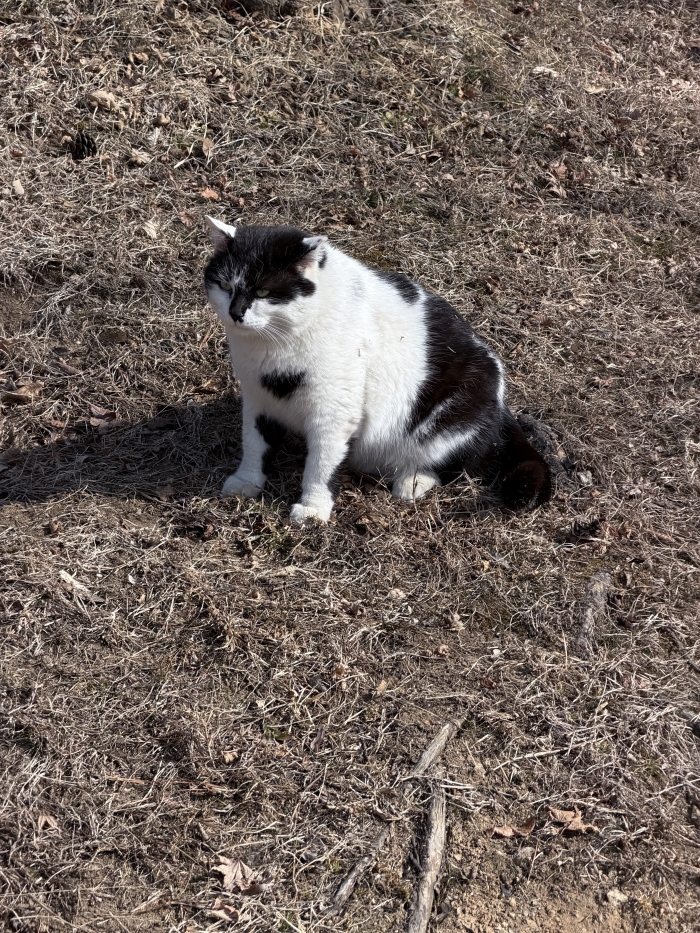 [88] �̿��ı�