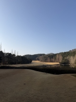 ���� �ڽ�, ���� ĳ�� �ְ������ϴ�.