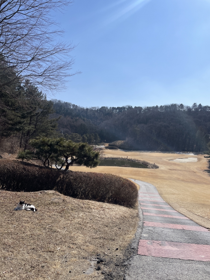 [88] �̿��ı�