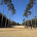 �ܿ��ε��� �ڽ������� �׸������� ���� �ߵǾ�