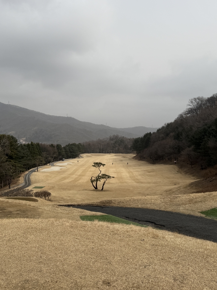 [������] �̿��ı�