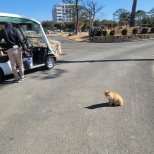 �ٶ����� ���� �������� �����̾����...