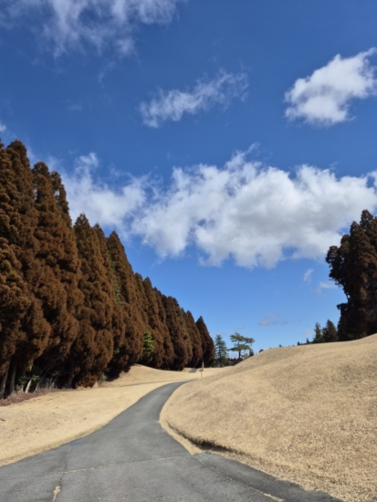 아카미즈 이용후기