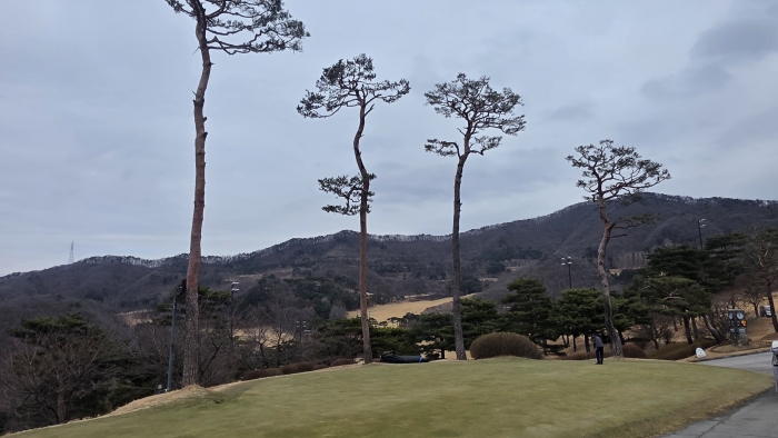 [�ȼ����׽�Ʈ] �̿��ı�