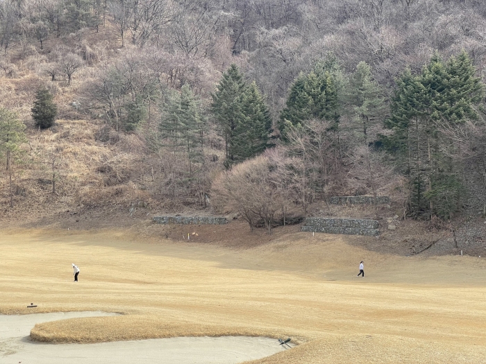 [������] �̿��ı�