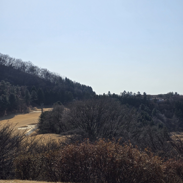 [������] �̿��ı�