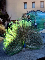 �������� �ٳ�� �۷��ν�
���ó� ������ ��