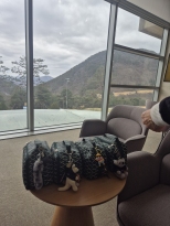 �������ٰ����嵵 ���ҵ� ������Ҿ��.
����