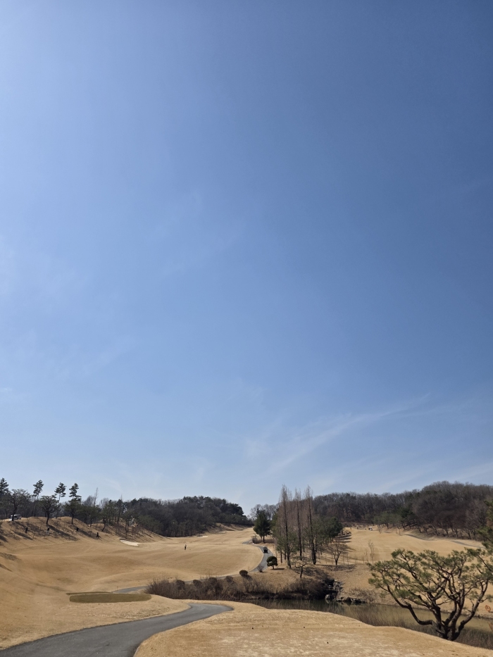 [�ݰ�] �̿��ı�