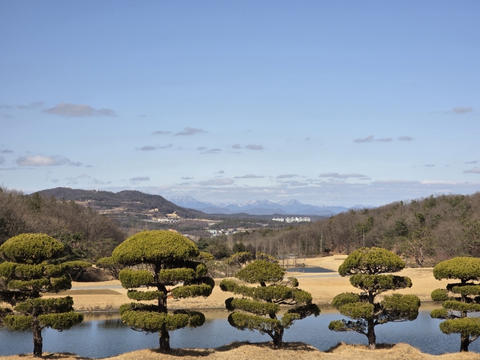 [�ݰ�] �̿��ı�