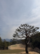 �ڽ��� �ʹ� �Թ��ؼ� �� ��Ÿ���� �ƴϿ����