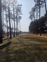 ������� �ʹ� ���� �����Դϴ�...