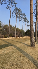 ���� �� �Ǿ� �ִ� ������!
�ڽ��� �� ��