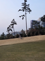 ���̻��̵�� �׸��� �ܵ� ĳ�� ���Ұ�
