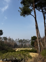 Ư�� 11������ �ٳ�Խ��ϴ� ������ �ܵ� ��