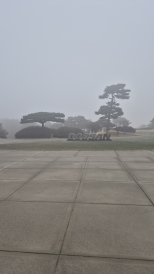 ���� �ܵ� �ĸ�����������
�׷������ұ��ϰ�