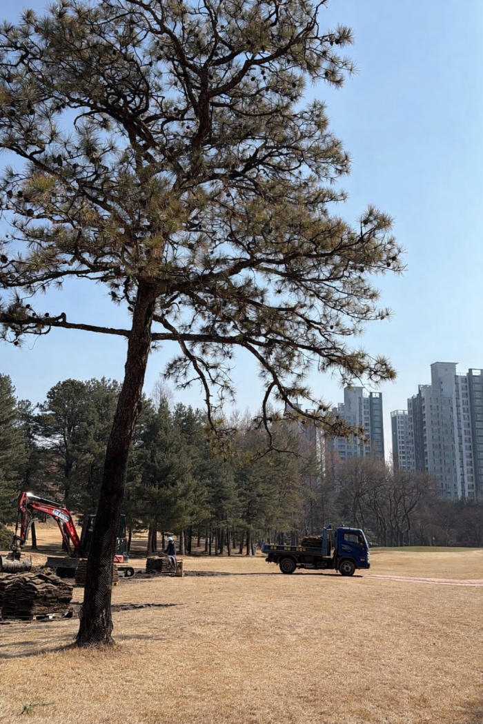 [���ڸ���] �̿��ı�